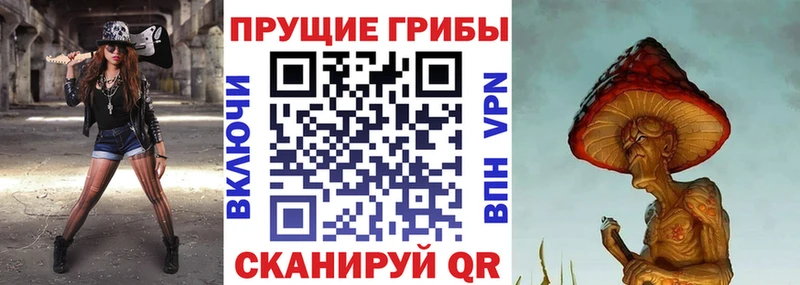 Псилоцибиновые грибы Magic Shrooms  цена наркотик  Свирск 